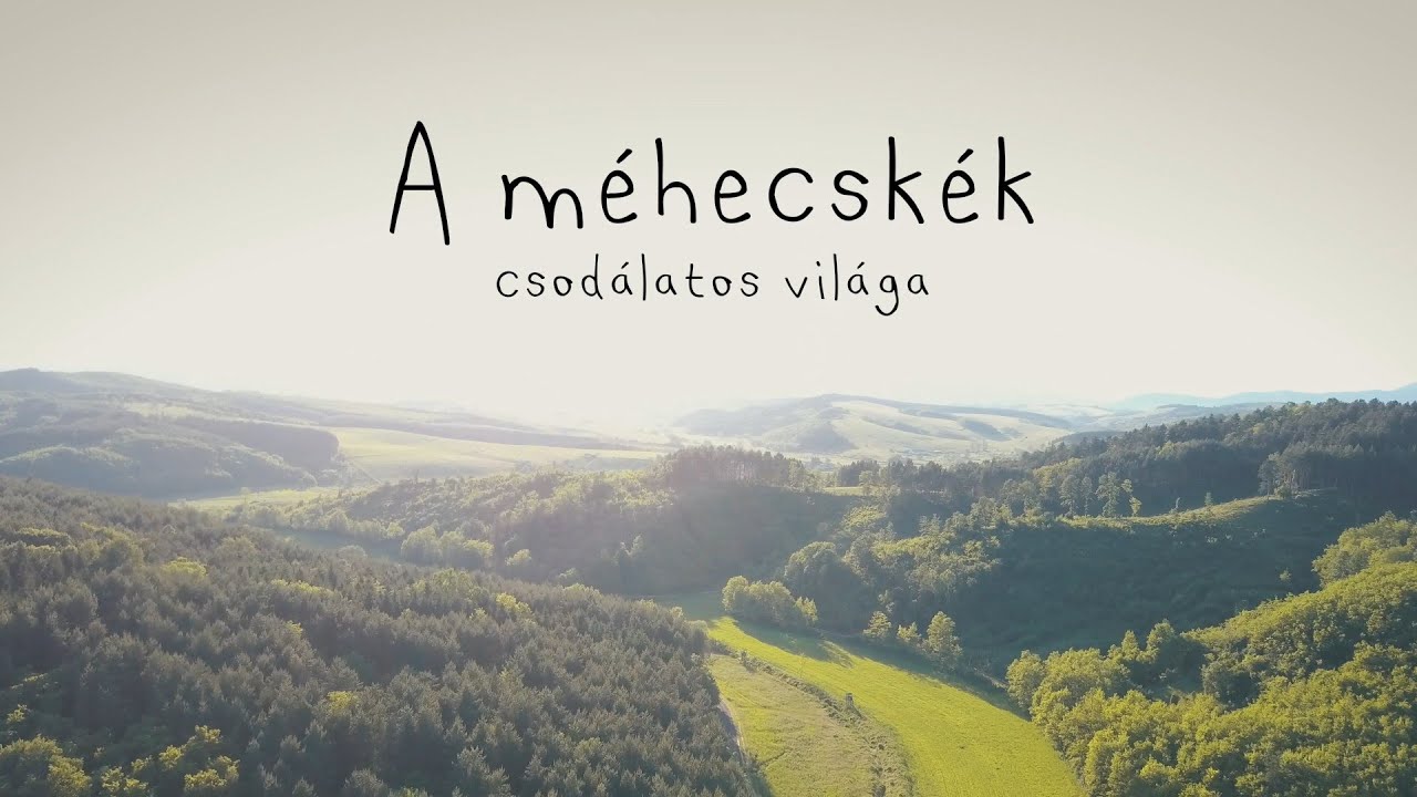 A méhecskék csodálatos világa: dokumentumfilm a méhekről és a mézről