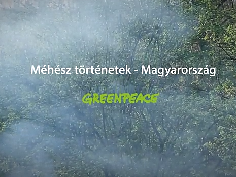 Méhész történetek: egy méhész a méhpusztulásról